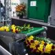 Portada línea de procesado de flores FloraFit de Bercomex