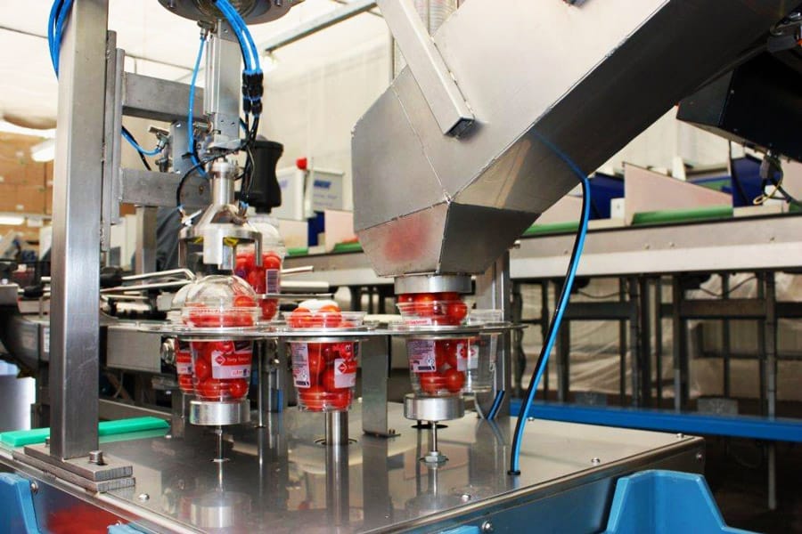 Máquina de llenado automático Koppert 1