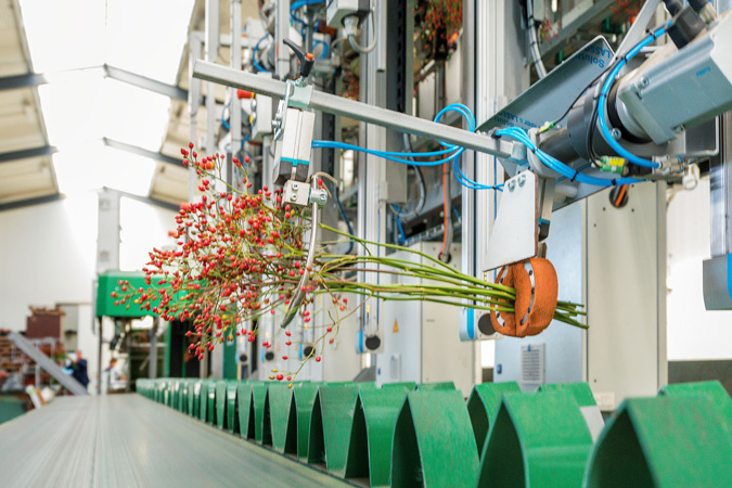 Procesadora automática Furora Nova 1