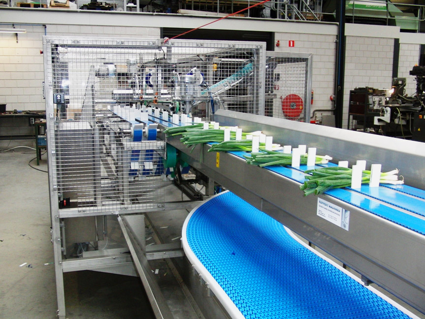 línea de procesado para cebolletas 01