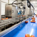 Clasificación de tomates en línea de envasado completa Koppert