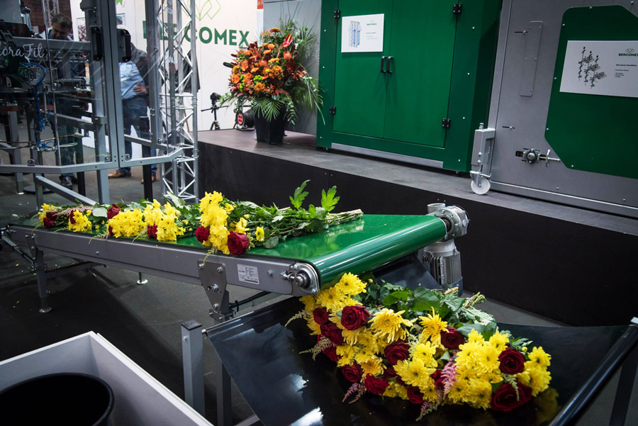 Ramos en línea de procesado de flores FloraFit de Bercomex